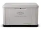 Briggs & Stratton 20kW PowerProtect (040657)