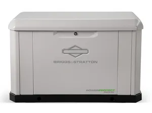 Briggs & Stratton 20kW PowerProtect (040657)